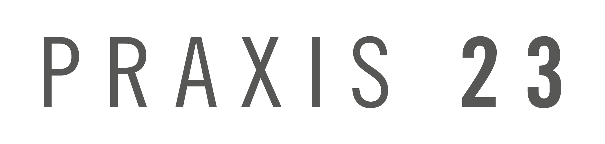 Praxis-23_Logo_Wordmark